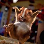 Peter McEwen - @peter_mcewen - Instagram