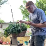Peter McFarlane - @mcfarlane768276 - Instagram