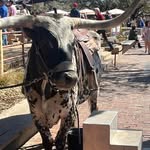 Peter Mcfarlane - @petermcfarlane_2000 - Instagram