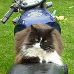 Peter McGee - @pax_mcgee - Instagram