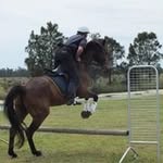 Peter McGlade - @mcgladepeter - Instagram