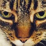 Peter McGrath - @pemcgra - Instagram