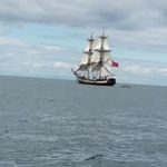 Peter McGrath - @peter.mcgrath.75098 - Instagram