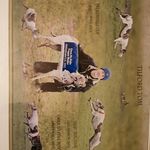 Peter McGrath - @petermcgrath56 - Instagram