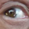 petermcgrath489 - @petermcgrath489 - TikTok