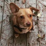 Peter McKenney - @petermckenney - Instagram
