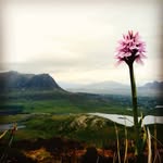 @petermcsweeney1966 - Instagram