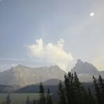 Peter Medley - @medleypeter1960 - Instagram