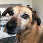 Peter Mehta - @mehta_peter - Instagram