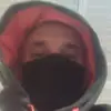 petermeisel3 - @petermeisel3 - TikTok
