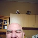 Peter Meißner - Facebook