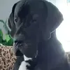petermeissner3 - @petermeissner3 - TikTok