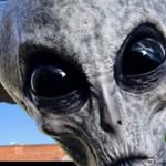 Peter Mellors - @peter.mellors.773 - Instagram