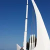 petermele509 - @petermele509 - TikTok