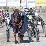 Peter Melander Andersen - @petermelanderandersen - Instagram