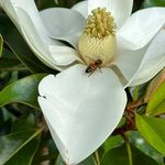 Peter Meleady - @meleadypeter - Instagram