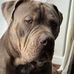 Peter Meli - @p_meli66 - Instagram