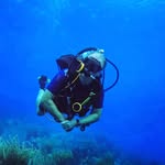 Peter Mellenberg - @peter_mellenberg - Instagram