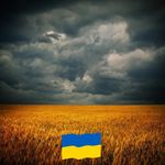 Peter Melnyk - @petemelnyk1 - Instagram