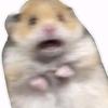 Peter Mendoza - @peter.mendoza578 - TikTok