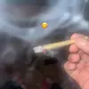 Peter Mendoza - @petr.2.stoned - TikTok