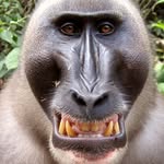 Péter Menyhárt - @menyuska21 - Instagram