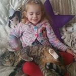 Jason Peter Menzies - @menziesjason - Instagram
