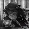Peter Menzies - @petermenzies0 - TikTok