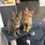 Peter & Mary - @petermeowry - Instagram