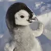Petermero - @petermero98 - TikTok