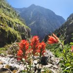 Peter Merrell - @peter.n.m_nature - Instagram