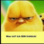 Peter Mersmann - @petermersmann - Instagram