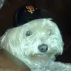 petermesias1 - @peter.mesias - TikTok