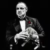 petermessak - @petermessak - TikTok