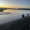 petermelevsky1 - @petermelevsky1 - TikTok