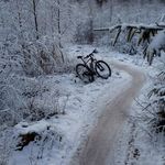 Peter Michelsen - @peter.michelsen.31 - Instagram