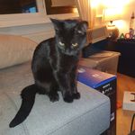 Peter Michiels - @pepmichiels - Instagram