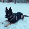 Péter Mihók - @pter.mihk - TikTok