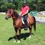 Peter Millett - @peter_millett - Instagram