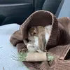 Peter & Milo⭐️🐰 - @those2bunns - TikTok