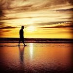 Peter Milovan Petrović - @peter_milovan_petrovic - Instagram
