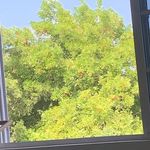 Peter Milton - @milton.peter - Instagram