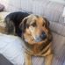 Peter Minter - Facebook