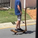 Peter Mitchell - @p3te_za - Instagram