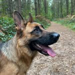 Peter Molitor - @molitor835 - Instagram