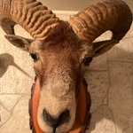 Peter Molitor - @peter.molitor54 - Instagram