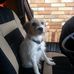 Peter Molitor - Facebook