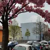 Peter Möller - @peter.mller74 - TikTok