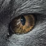 Peter Moore - @elementmmv - Instagram