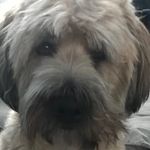 Peter Mortensen - @peter_m99 - Instagram